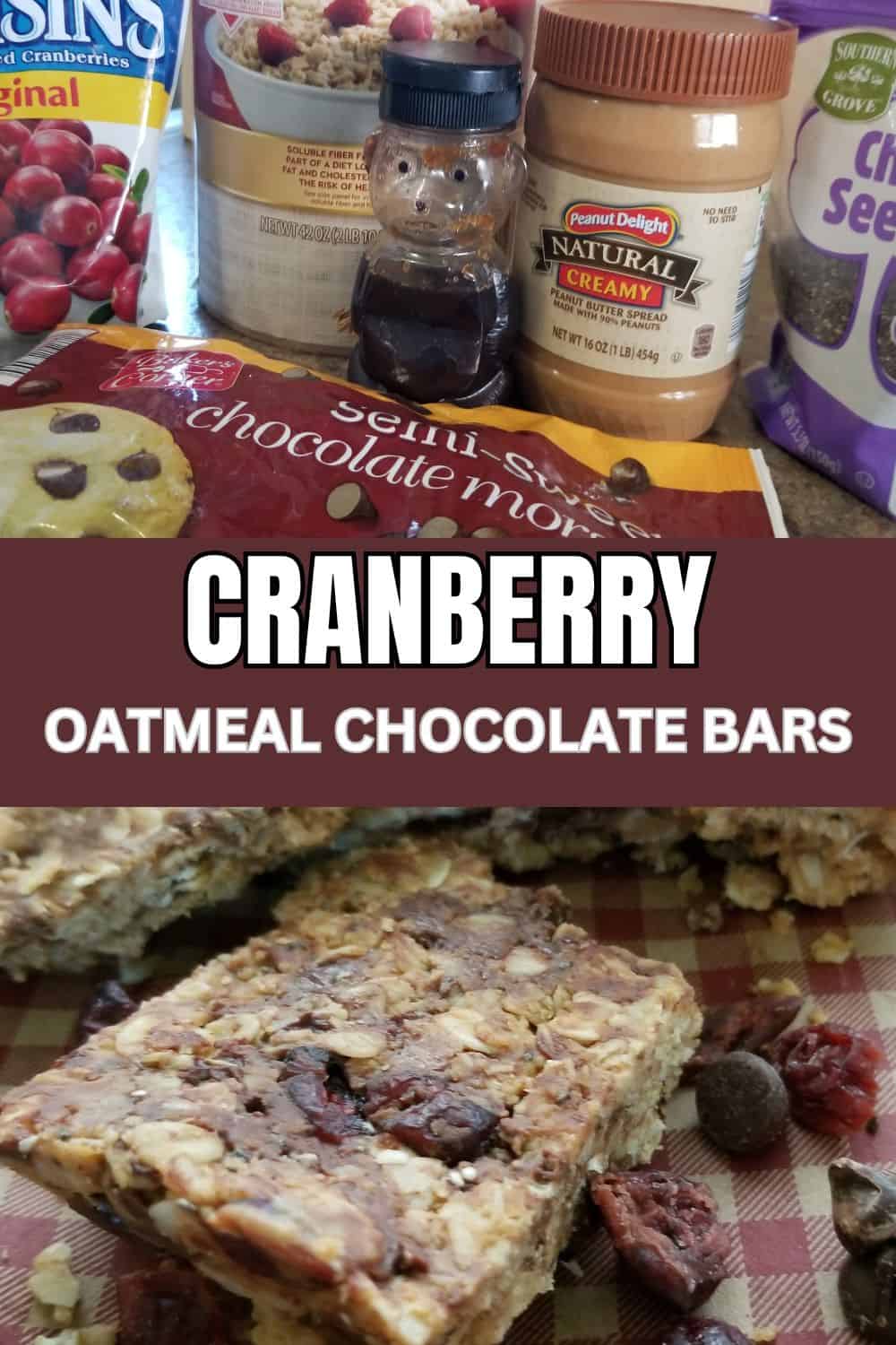 CRANBERRY OATMEAL BARS PIN