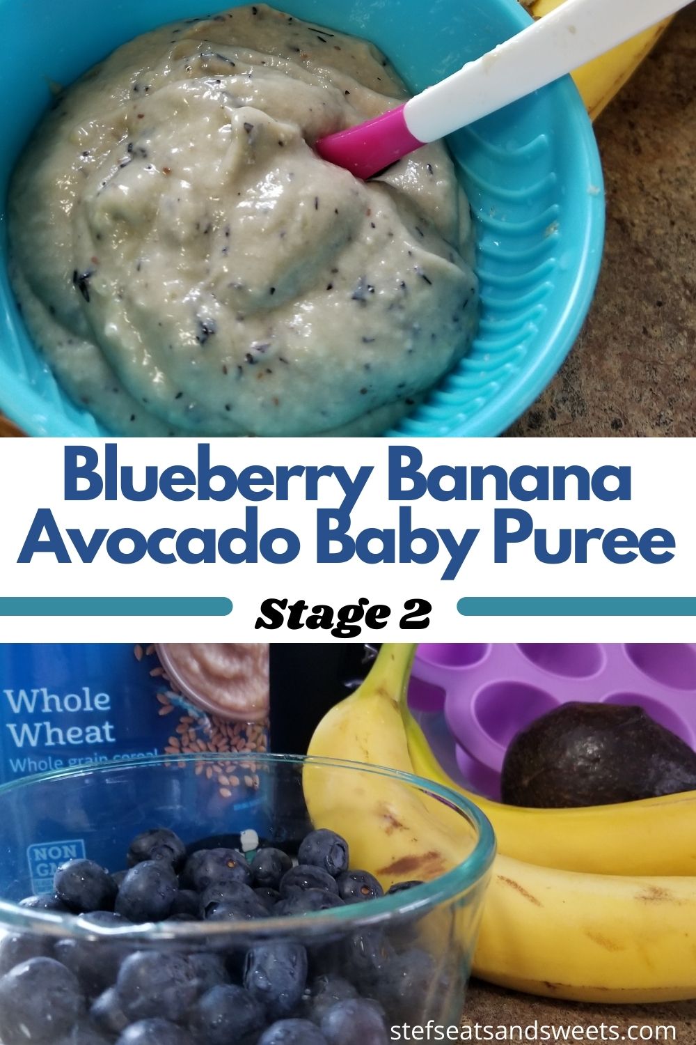 blueberry banana avocado baby puree pinterest image