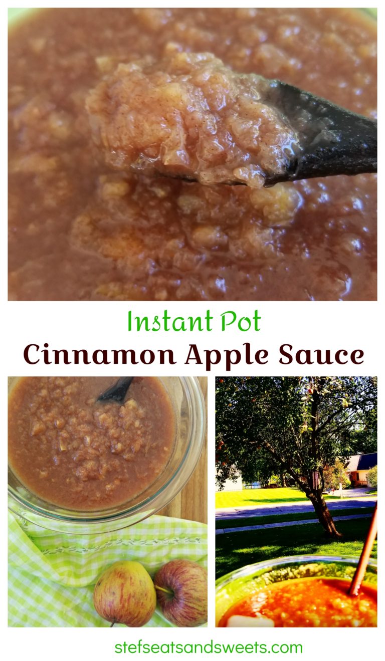 Instant Pot Cinnamon Applesauce Stef's Eats and Sweets