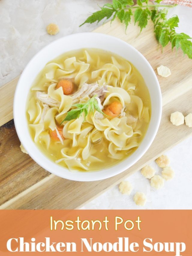 Instant Pot Chicken Noodle Soup