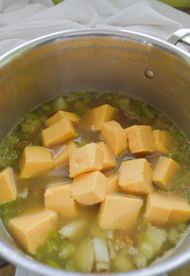 Cheese spread cubed in broth 