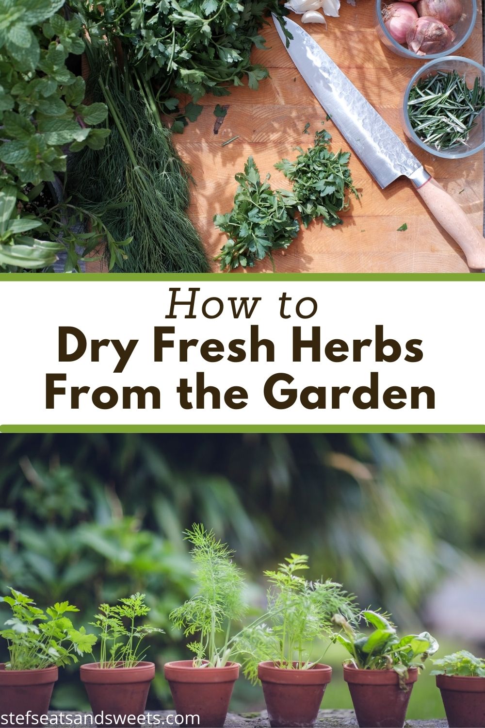 how to dry fresh herbs from the garden pinterest