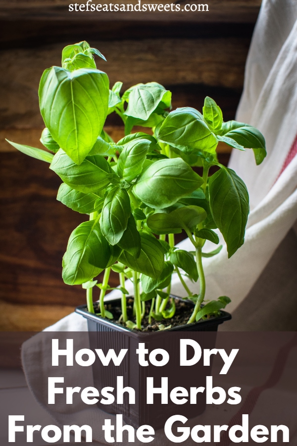 how to dry fresh herbs from the garden pin 1