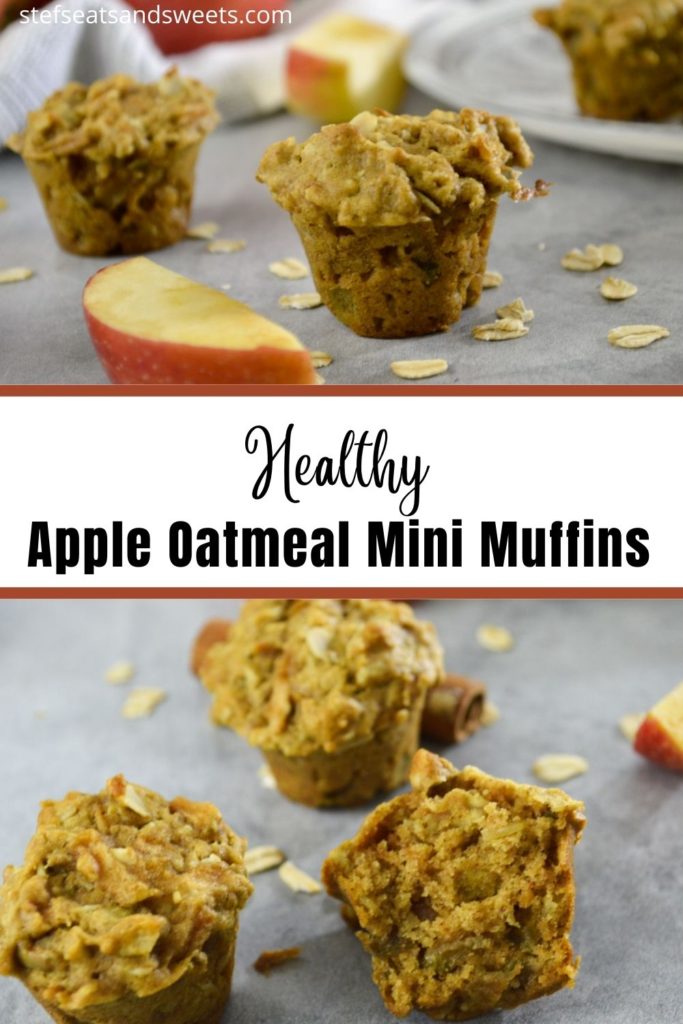 healthy apple oatmeal mini muffins pinterest coolage