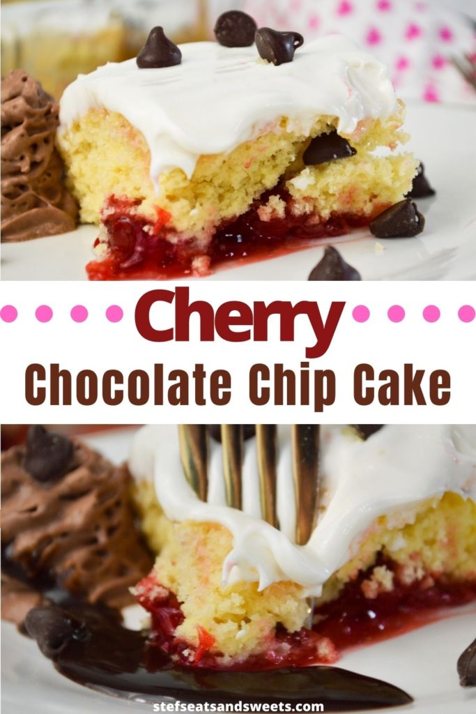 Cherry Chocolate Chip Cake - Stef's Eats and Sweets