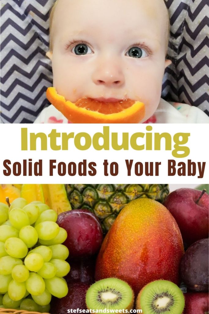 Introducing Solid Foods to Your Baby - Stef's Eats and Sweets