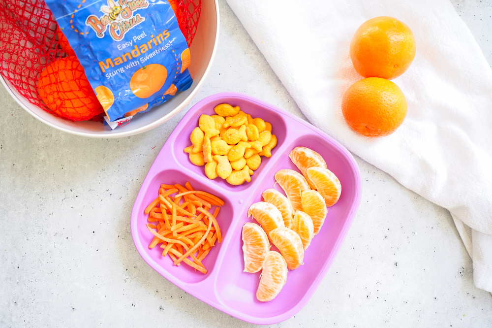 Orange Color Theme Snack Plate 
