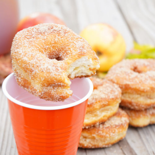 Apple Pie Spice Campfire Donuts - Stef's Eats and Sweets