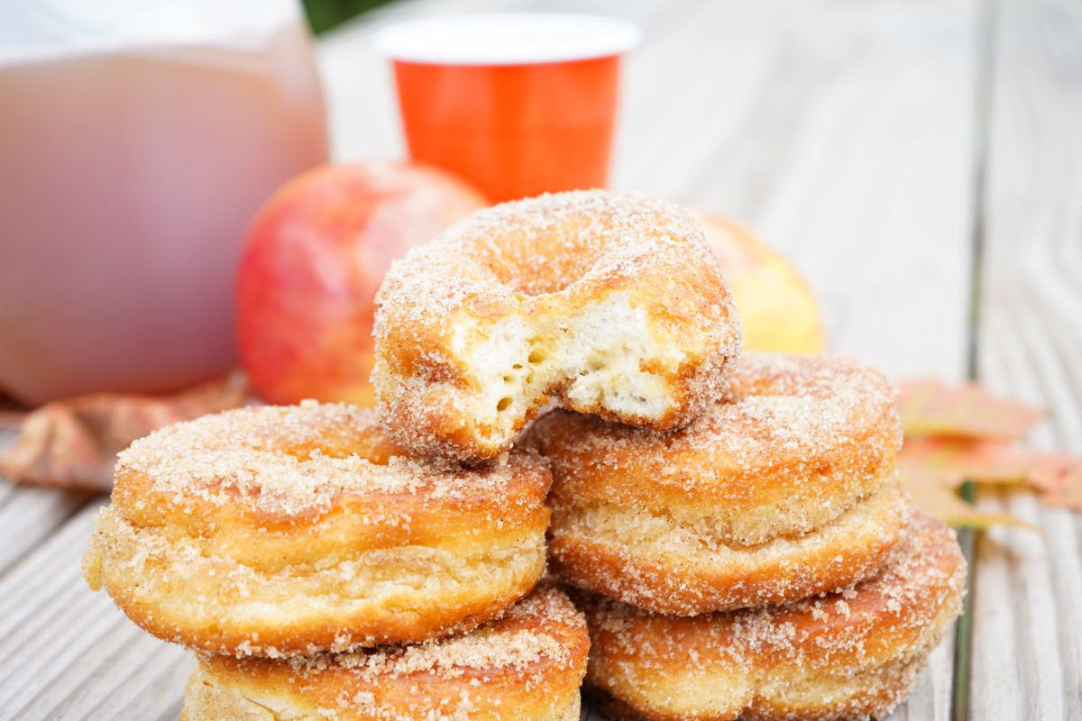 Easy Apple Pie Spice Campfire Donuts with bite