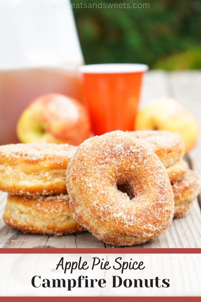 apple pie spice campfire donuts with biscuits pin
