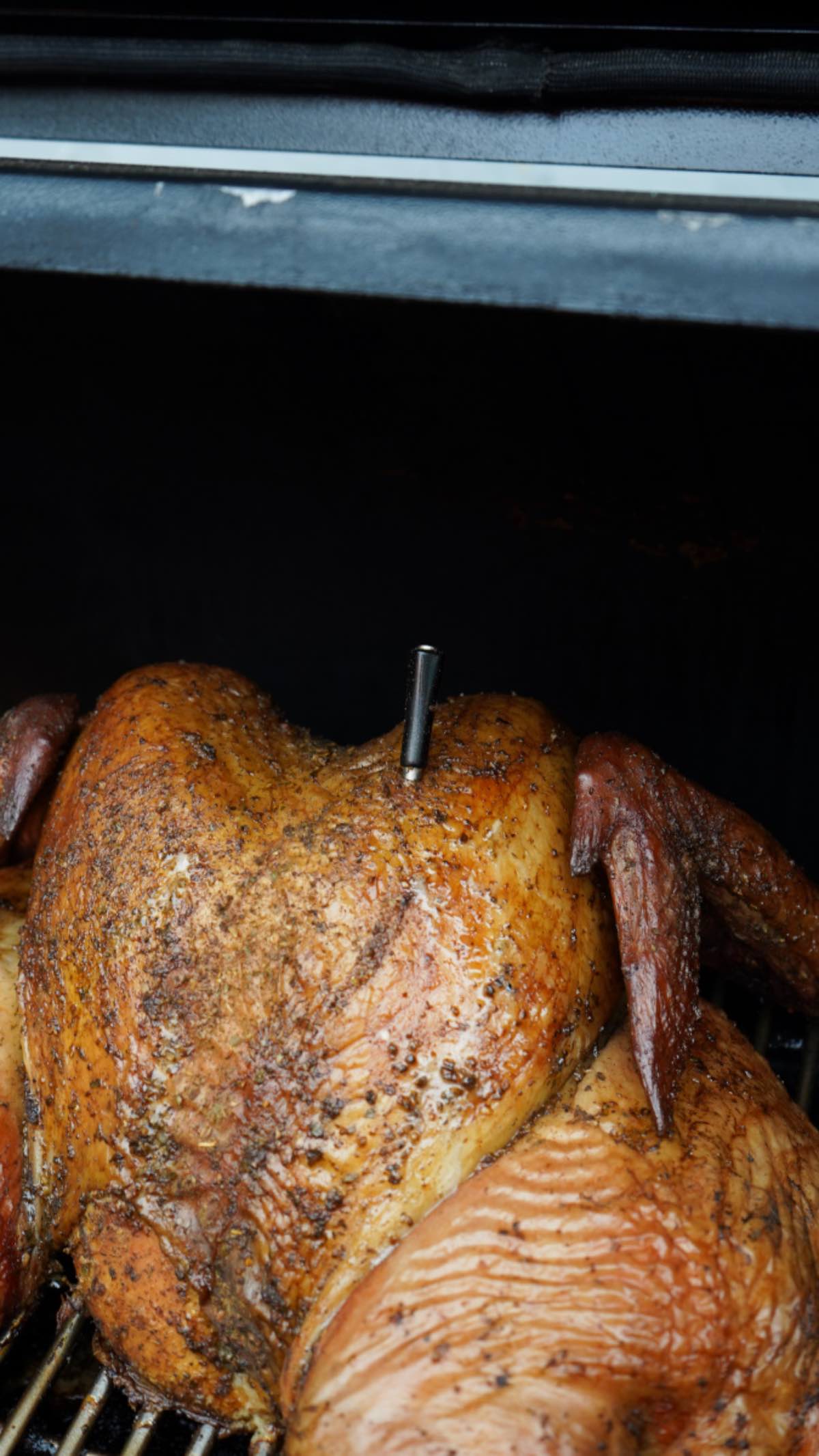 Smoked turkey with thermometer. 