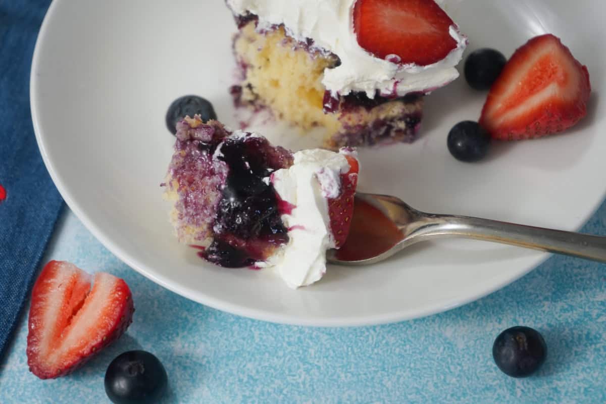 fork shot of berry cake