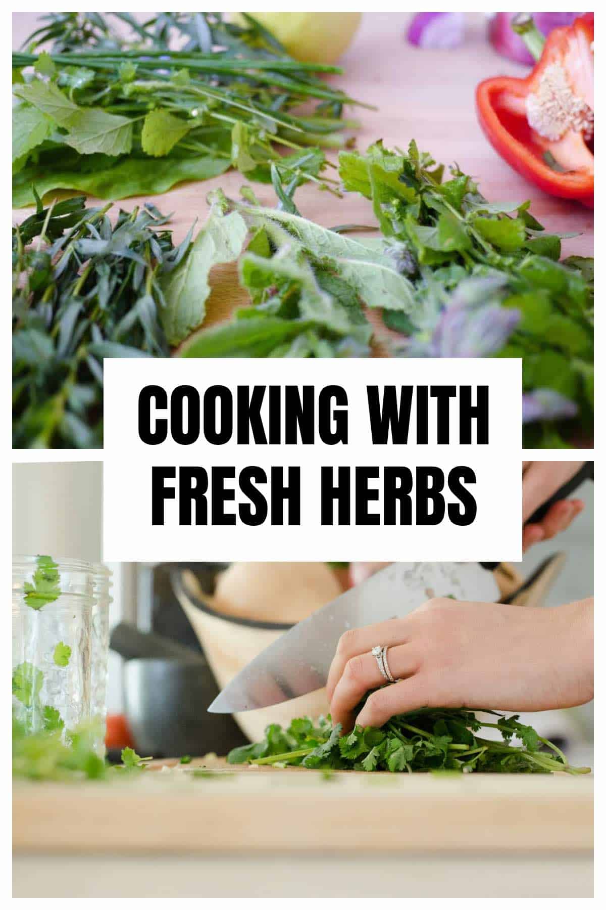 learning to cook with fresh herbs