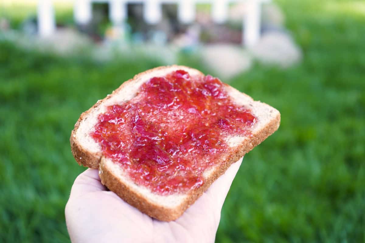 hand holding toast with strawberry vanilla jam