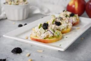 Michigan Cherry Chicken Salad Apple Slices