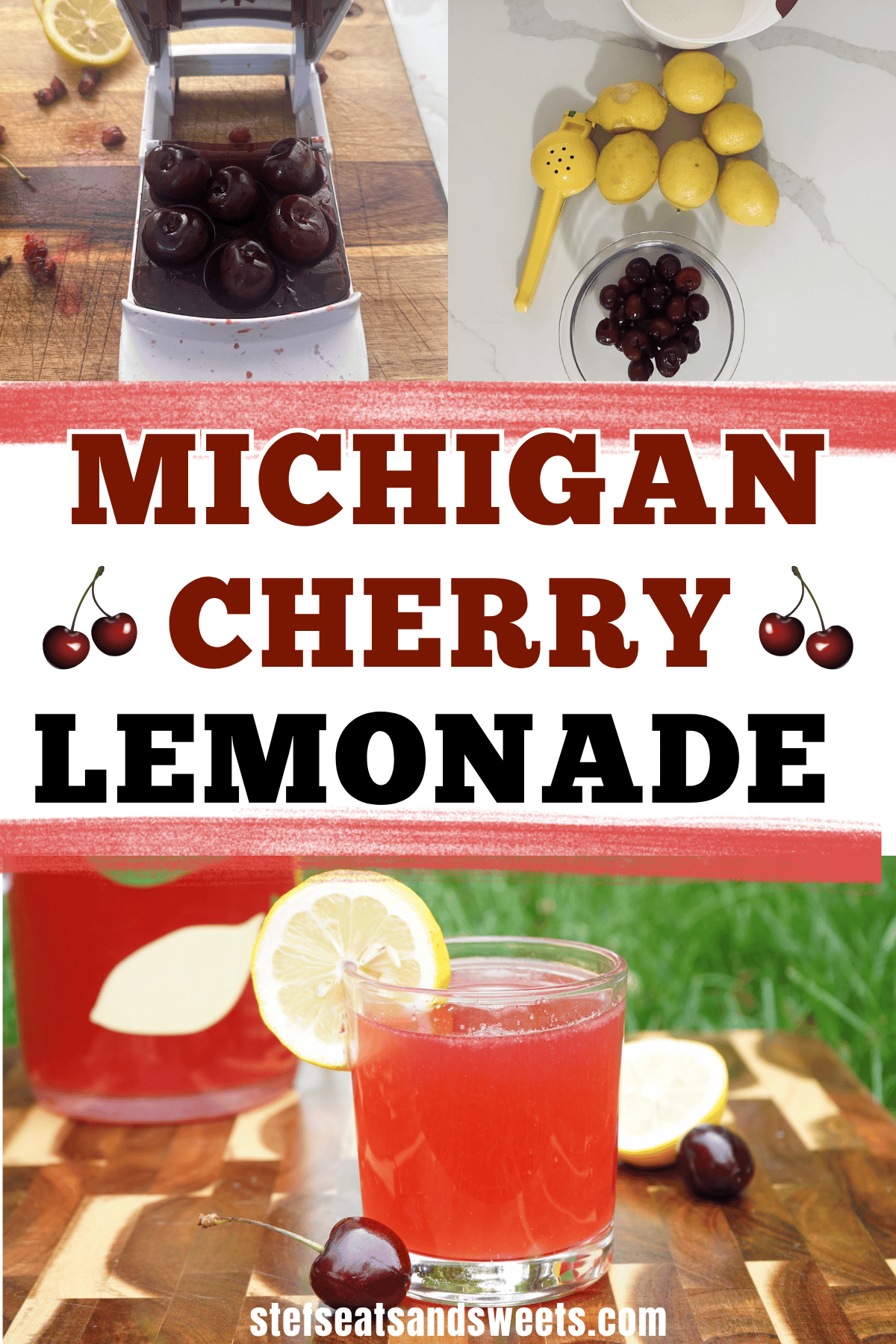 michigan cherry lemoade pin
